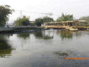 崇左知名的那馬竹泉島景區(qū) 南寧那馬竹泉島景區(qū)團(tuán)購(gòu) 乘風(fēng)寨馬場(chǎng), 崇左知名的那馬竹泉島景區(qū) 南寧那馬竹泉島景區(qū)團(tuán)購(gòu) 乘風(fēng)寨馬場(chǎng)生產(chǎn)廠家, 崇左知名的那馬竹泉島景區(qū)