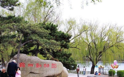 錦州動物園即將搬遷至三角山生態(tài)園內(nèi),已經(jīng)開始工程設(shè)計招標