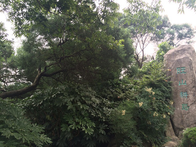 旺山-蘇州最美的山村