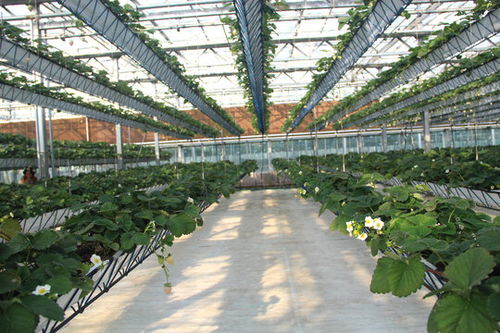 食材長粒米,五谷雜糧,食品餐飲,攝影素材,匯圖網(wǎng)