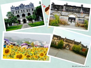 清新、自然，暢聽(tīng)未來(lái)——武宣環(huán)豐生態(tài)園與九龍?zhí)渡鷳B(tài)園的生態(tài)之旅