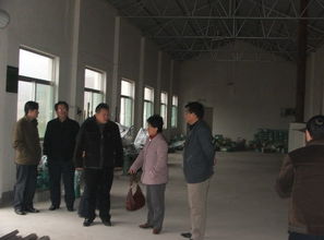 良奇茗茶 岳西翠蘭與九龍?zhí)渡鷳B(tài)園的綠色傳奇