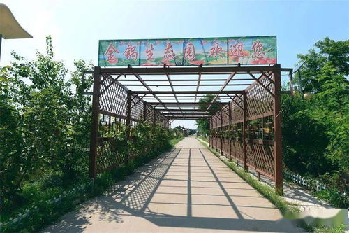 武清梅廠九龍?zhí)渡鷳B(tài)園 一隅桃源的詩意棲居